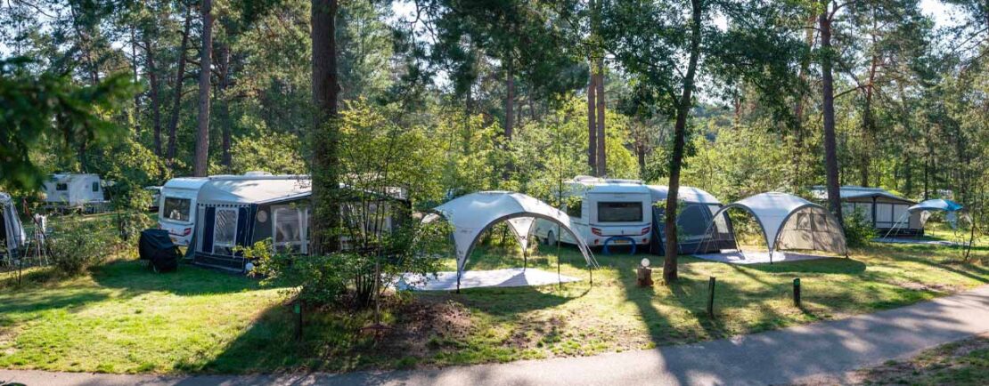 Camping In Het Bos 12 Mooiste Boscampings In Nederland